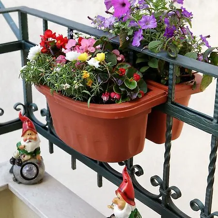 Apartman Coce Split